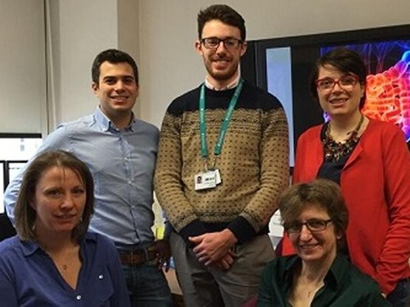 Research group team